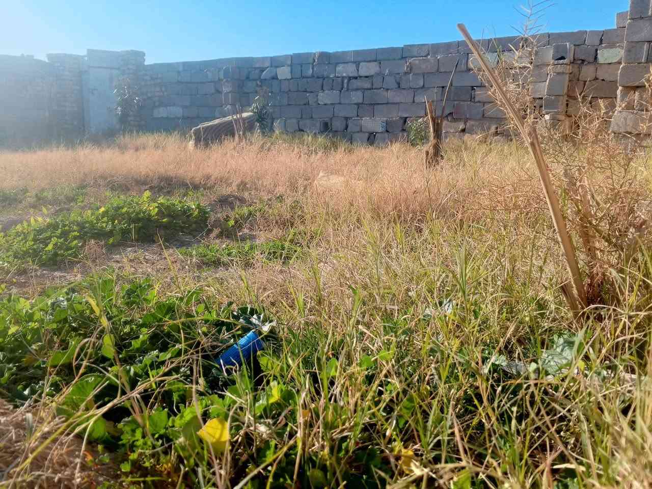 من رخصت الادمن سلام عليكم عندي قطعه بحي الحكيم للبيع بنزلة حسبنية الاحرار٢٨٠ متر مرقمة وباسمي بالقسم البلدي ومسيجه وباب  شارع بيها ومبني عليها غرفتين بلوك بدون سقف ماء وكهرباء بيها ومناسبه سعر ٧ ملايين وبيها مجال ***********
