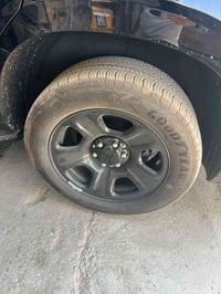 عندي تخم ويل بوليسي جديد لاشخط ولا عواج اريد مراوس ب22 ونطي فرق 078088...