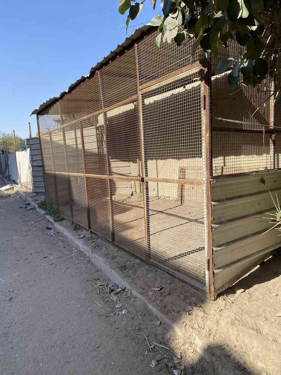 قفص حديد البيع


**إذا كنت صاحب هذا الإعلان وتريد حذفه لأي سبب، رجاءا أرسل رسالة إلى الدعم الفني**