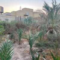 طابو زراعي • دونم • ضهر على شط
