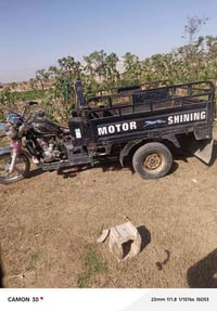 ستوته • موديل 20 • أوراق ضايعة