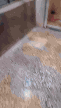 يا الله  بيت لبيع 74متر نهايته البستان الكماليه بناء جدبد قاط اول كامل...