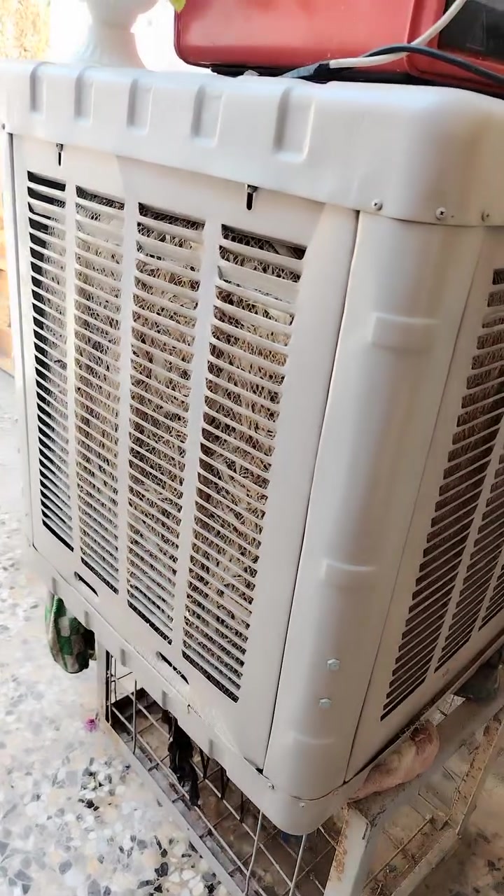 مبردة جديده صارلها شهر حجمها 2500 تخبل و نظيفه كلش 
السعر 80 الف
المكان بغداد حي نصر


**إذا كنت صاحب هذا الإعلان وتريد حذفه لأي سبب، رجاءا أرسل رسالة إلى الدعم الفني**