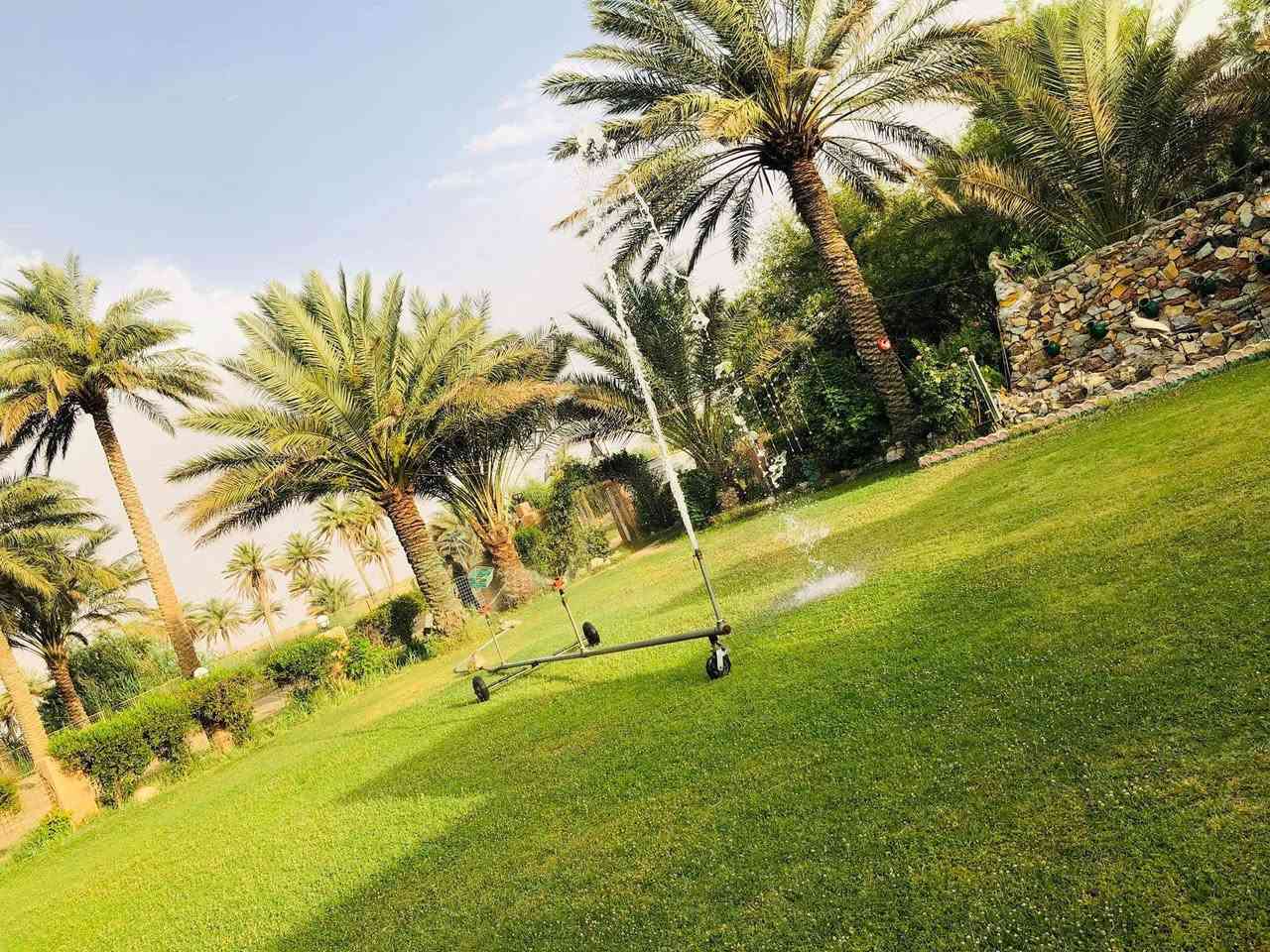 مستعدون لترتيب الحدايق  👨‍🌾🪴وتقليمها وزراعه الاشجار داخل خانقين *********** وبأحدث الاات الزراعيه
