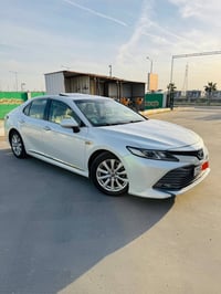 فول مواصفات • ٢٠١٩ • صلاح الدين