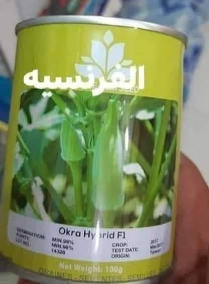 يوجد لدينا بذور بانيا فرنسيه بنت القوطيه الربعينيه نتاجيه خير لون الغنص اخضر فاتح درجه اوله ضمان شرط الحوي موجود واتساب ***********  وخيار طرحي سباني متعهد   ولوبيا يطاليه ستندر شركه
