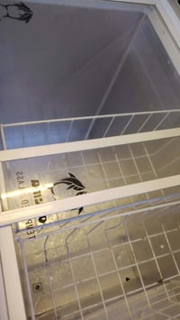 مجمّدة بلادي • تجميد فول • الرمادي الإسكان القديمه