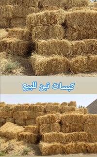 الناصريه • سيدخيل • زوج