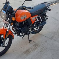 دايوان • ١٥٠ سي سي • اوراق اصولي