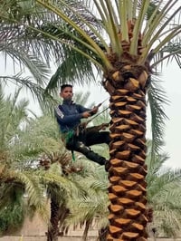 اني مكربجي هذا باب رزقي اي واحد عنده تكريب كصاص شلاع فسايل تنضيف تلقيح...