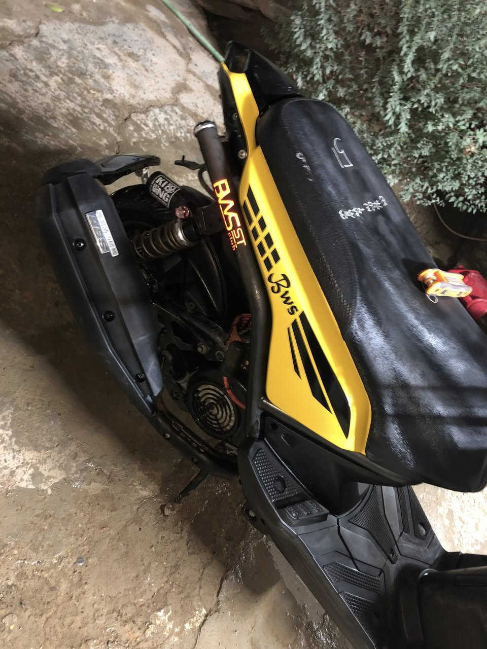 سكنس جبلي رمبه كفاله عامه سبوع من نازله من رمبه للبيع تواصل هذا رقمي ***********
