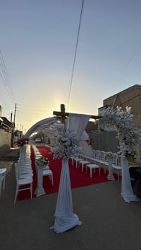 قاعة الاميرات الإسكندرية • قرب النفق • شد ونقل