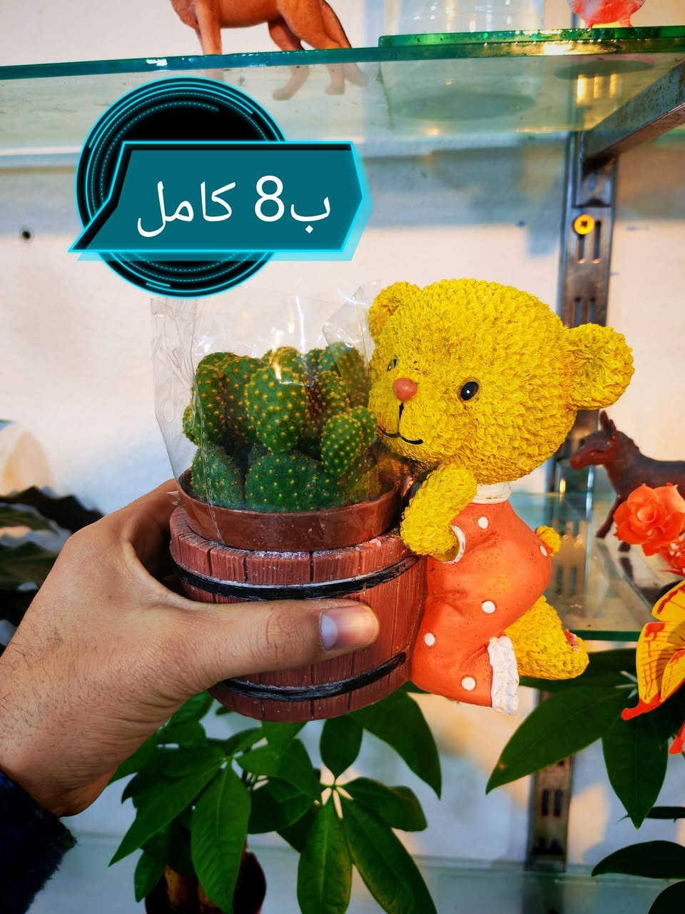 النباتات المتوفره حاليا فقط ❤
العنوان هيت حي الجمعية شارع حامي حميد


**إذا كنت صاحب هذا الإعلان وتريد حذفه لأي سبب، رجاءا أرسل رسالة إلى الدعم الفني**