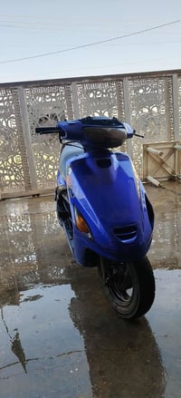 فراشة • سومر • سلف