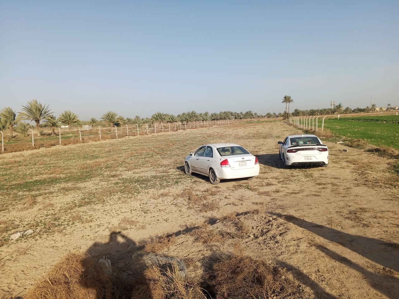 دونمين قرب مزرعة نخيل طابو زراعي سند ٢٥طابو واجهه 45 بسم شخص واحد بسعر مناسب جداً  الاستفسار على هذا رقم ***********
