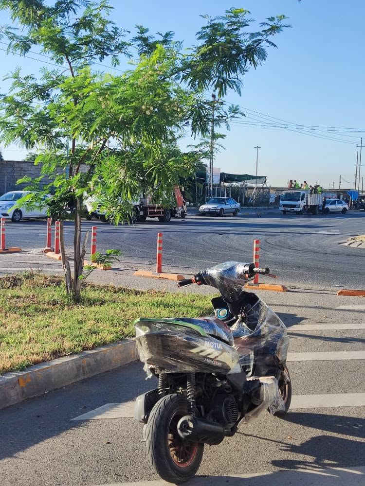 ماكس مضلع 2021

ويالة رياضية 
محرك مفتوح
صدر رياضي
نكرة سلف
كهربائيات كلها شغالة 
لايت زينون
اشاير شغالة
كفراته نظيفة
كابريتر بلادي 
بيها mp3 شغالة

نقصها فقط شوته وهندر
 

مكاني كركوك مصلى

سعره 195قفل وماكو ماكس بهل سعر كركوك, العراق


**إذا كنت صاحب هذا الإعلان وتريد حذفه لأي سبب، رجاءا أرسل رسالة إلى الدعم الفني**