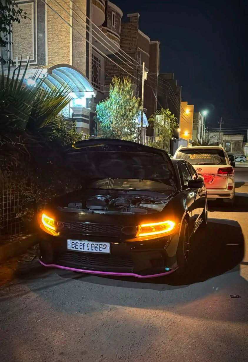 السلام عليكم
جارجر sxt plus فول 1/1
مديل 2020 اصل
فتحه سقف
وضعيات خزن 
كشنات جلد srt حضن وتدفئه وتبريد
كشن خلفي تدفئه
ستيرن تدفئه
مري قلاب 
ويل ويلد فورجد اصلي توي شاده جديد
حساسات خلفيه
تشغيل عن بعد
دبل حاكيه
كشنات الاماميه كهرباء
شاشة كار بلي 
محدثه دعاميات srt وايد بدي بدون نفخه 
ولايت مال 2023 وعدسات زنون
دركه SRT و اناره داخليه متغيره عل تلفون  
حادث جاملغ والبنيد محدث ابو الفتحه
بدون دواخل بدون شواصي وبدون ايرياك كير محرك كلها كفاله
سونار موجود ناشره
ماشية 73 الف
رقم بغداد شبه مميز باسمي 
سنويه جديده 2031
السعر 21.700$
للاستفسار  ***********
مكاني الناصرية مركز
