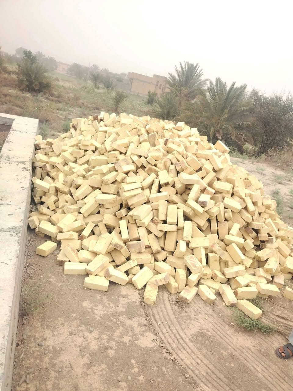 سلام عليكم 🤝
ا ابو علي لتجهيز الطابوك ✅
طابوكه فول وشرط المكلاب 
طابوكه خاليه من الاملاح عدد مضبوط وزياده ٤٠٠✔
لتجهيز البصره وكافت المحافظات ☑
تجيك طابوكه مال معاتب عدد ونوعية ✅
ذا عربانه يدويه كسر ما مقبول لا دور ولا تتعب ↗️
نتصيل ويجيك للباب 🚪نتصال على رقم***********  ابو علي   
👈***********وتساب فقط
