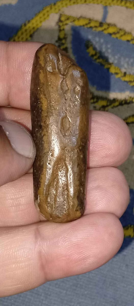 ‎حجر سلطاني‎ البصرة, العراق


**إذا كنت صاحب هذا الإعلان وتريد حذفه لأي سبب، رجاءا أرسل رسالة إلى الدعم الفني**
