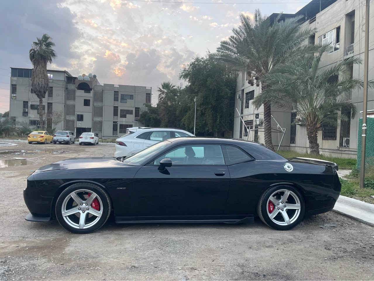 جالنجر Rt2017 سياره جديده  واي نقص مابيها ومكينه تشك الكاع بيها وماشيه60 الف فقط من النوادر تلكى هيج موديل ونظيف ومكفول  وعليها نصبه كلش حلوه و قطعتين بيها بس  لحد يقارنها بل مهجومات كلشي بسعره عنواني البياع عجبتك تفضل اتصل ***********
عليها برجمه ايكل البطل
عليها اناره سستم كامل 
عليها ويل نجمه خسفه تو سايز سلفر بغداد, العراق
