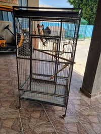 للبيع • الاسكندريه