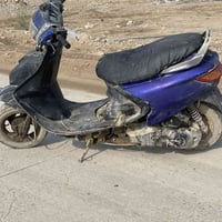 فراشة • مفتوحة • صارلها شهر