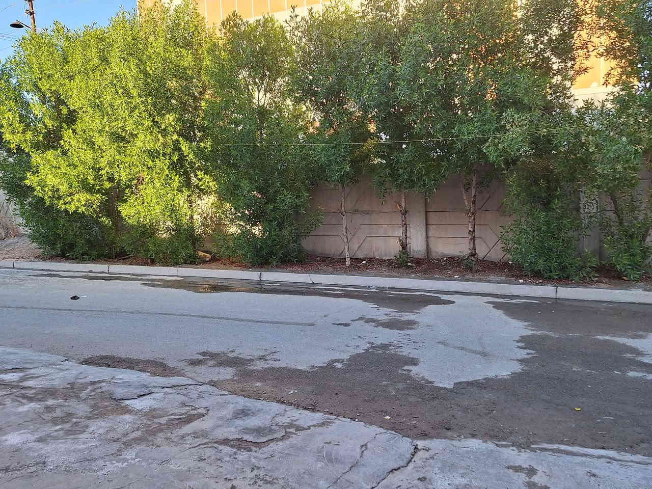 السلام عليكم دار للبيع المساحه ١٥٠متر الواجهه٦ متر النزال ٢٥متر العنوان شهداء البياع محله ٨٧٣ قرب شارع العوادي مقابل سياج مدرسة الرياحين يحتوي على غرفه عدد ٤ صاله هول داخلي منور صحيات عدد ٣ بيتونه كراج مطبخ الدار مرمم ترميم كامل طابو صرف سند مستقل موبايل صاحب الدار للإستفسار ***********  *********** بي واتساب
