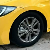 تخم ويل كب للبيع 07832357224 مكاني بغداد شعله