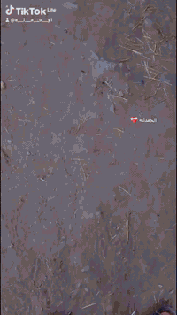 سلام عليكم سياره كيه بريجو للبيع مكينه وگير واكسن مشروطات شواصي 4 بلاد بور جديد باتري جديد سلف جديد  تخم تاير شاشه بيهه تاب  حداديه نضيفه مديل 97 راعيهه بل حله الأستفسار ***********
