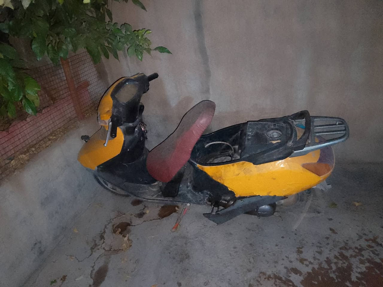 للبيع جف تراب شغالات بس يرادلهن شغل بسيط


**إذا كنت صاحب هذا الإعلان وتريد حذفه لأي سبب، رجاءا أرسل رسالة إلى الدعم الفني**