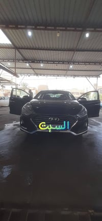 سوناته امريكي • ٢٠١٨ • مصبوغ