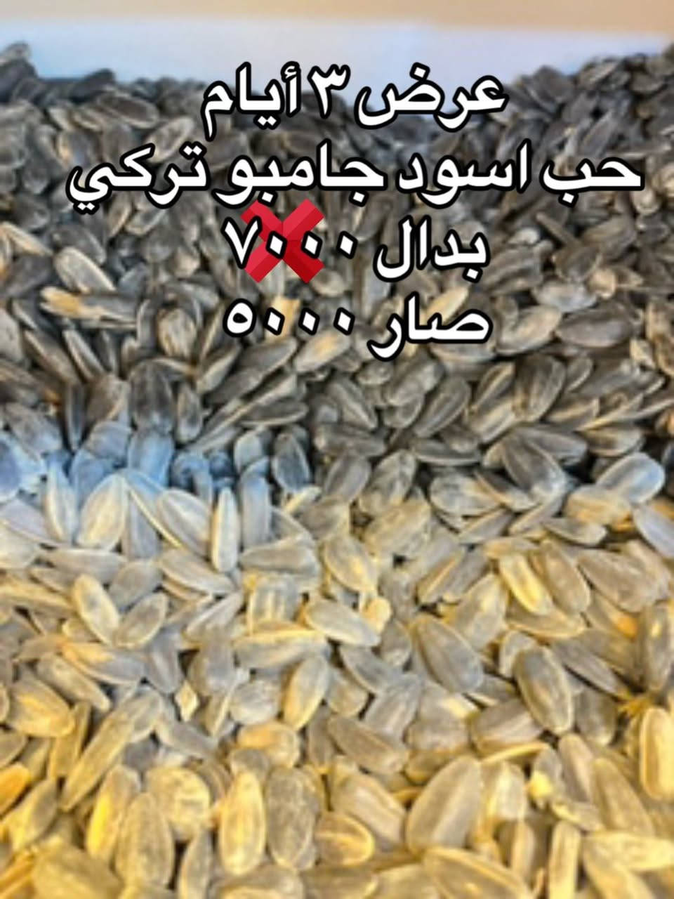 عروض شهر محرم
