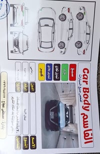 التيما • ٢٠٢٠ • بدون صبغ