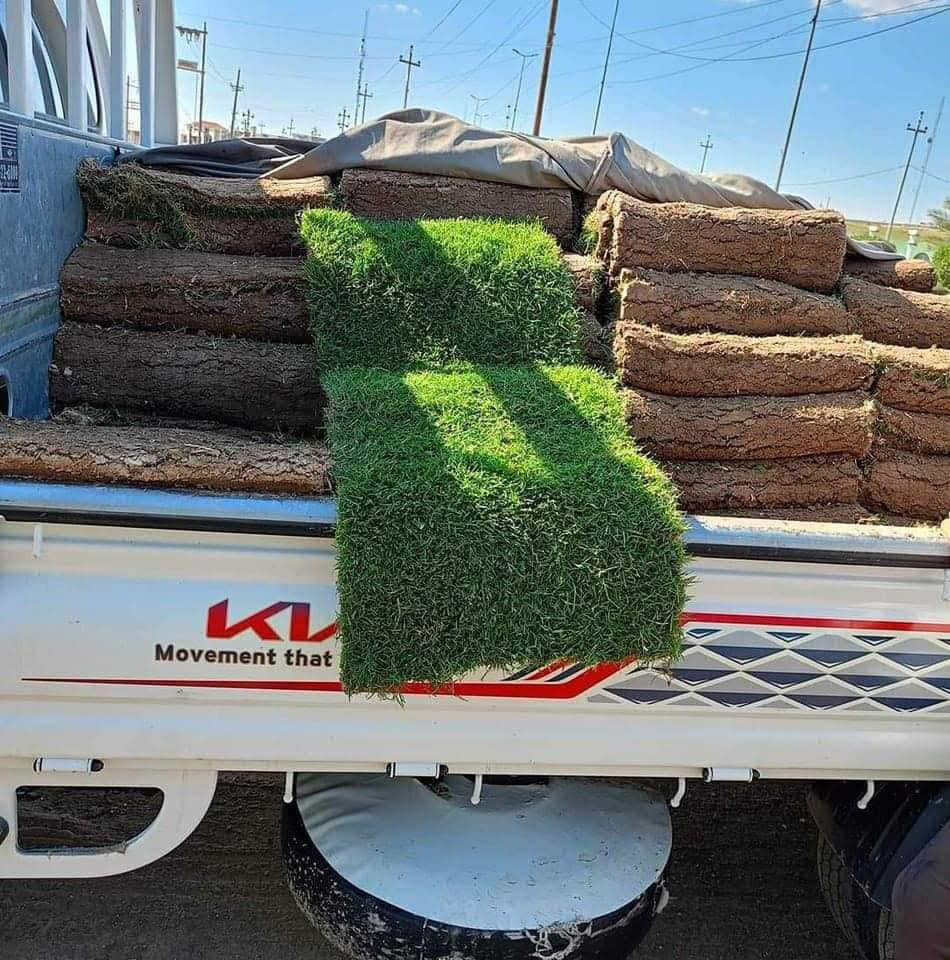 مزارع ديالى للثيل الطبيعي – جودة بلا حدود! 🌿
نوفر لك أجود أنواع الثيل الطبيعي (هندي درجة أولى) – مناسب لجميع الاستخدامات:
🏡 المنازل | 🌳 الحدائق | ⚽ الملاعب | 🏢 الدوائر | 🏗️ المشاريع 
للاستفسار الاتصال على الرقم *********** أو واتساب
