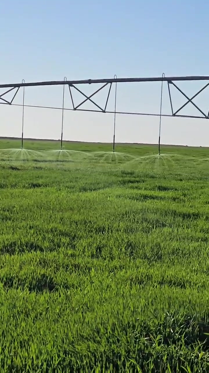 للبيع ارض زراعيه 120دونم عقد زراعي جديد 35يله ينتهي 
جزيره تكريت 
تحتوي على مرشه ذات اربع ابراج جديده
محوله +4ابار ماء +تحليه +رافع فولتيه عالي جوده
تحتوي على بيت 
سعر الكلي 170مليون 
***********
***********
