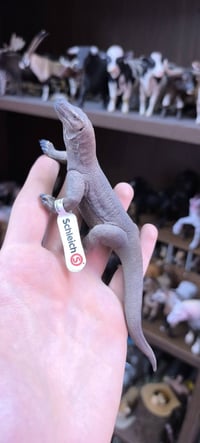 أغراض شخصية • متفرقات