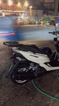 ماجسته S • ١٥٥ • مكفوله