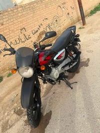 بوكسر • مكفول • مرقمة