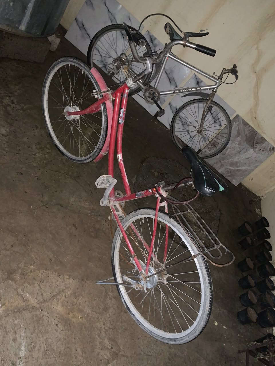 البيسكلين بي 60الف يحتاجون بعض التعديل بس علق خاص وارسلك جبلي وحدباء


**إذا كنت صاحب هذا الإعلان وتريد حذفه لأي سبب، رجاءا أرسل رسالة إلى الدعم الفني**