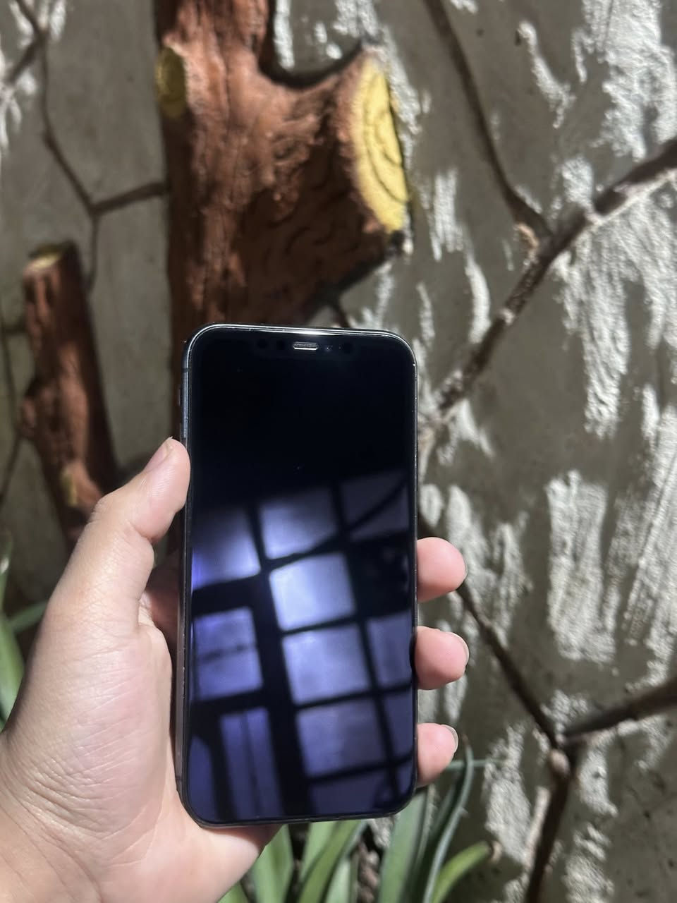 السلام عليكم
ايفون 11 عادي للبيع او مراوس مع ايفون.
ذاكرة 128
بطارية 94‎%‎ 🔋
دبل سيم ( مو تك )
نظافة 90‎%‎
الجهاز مستبدل فقط شاشه اصليه فيس شغال
كل الجهاز شرط 
السعر 210 بي مجال بسيط 
***********
مكان موصل سكر

