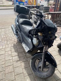 سلفر • نقص تريشة • بغداد