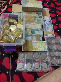 سويسري • أصلي