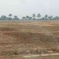 طابو صرف • مو زراعي • بهيازع