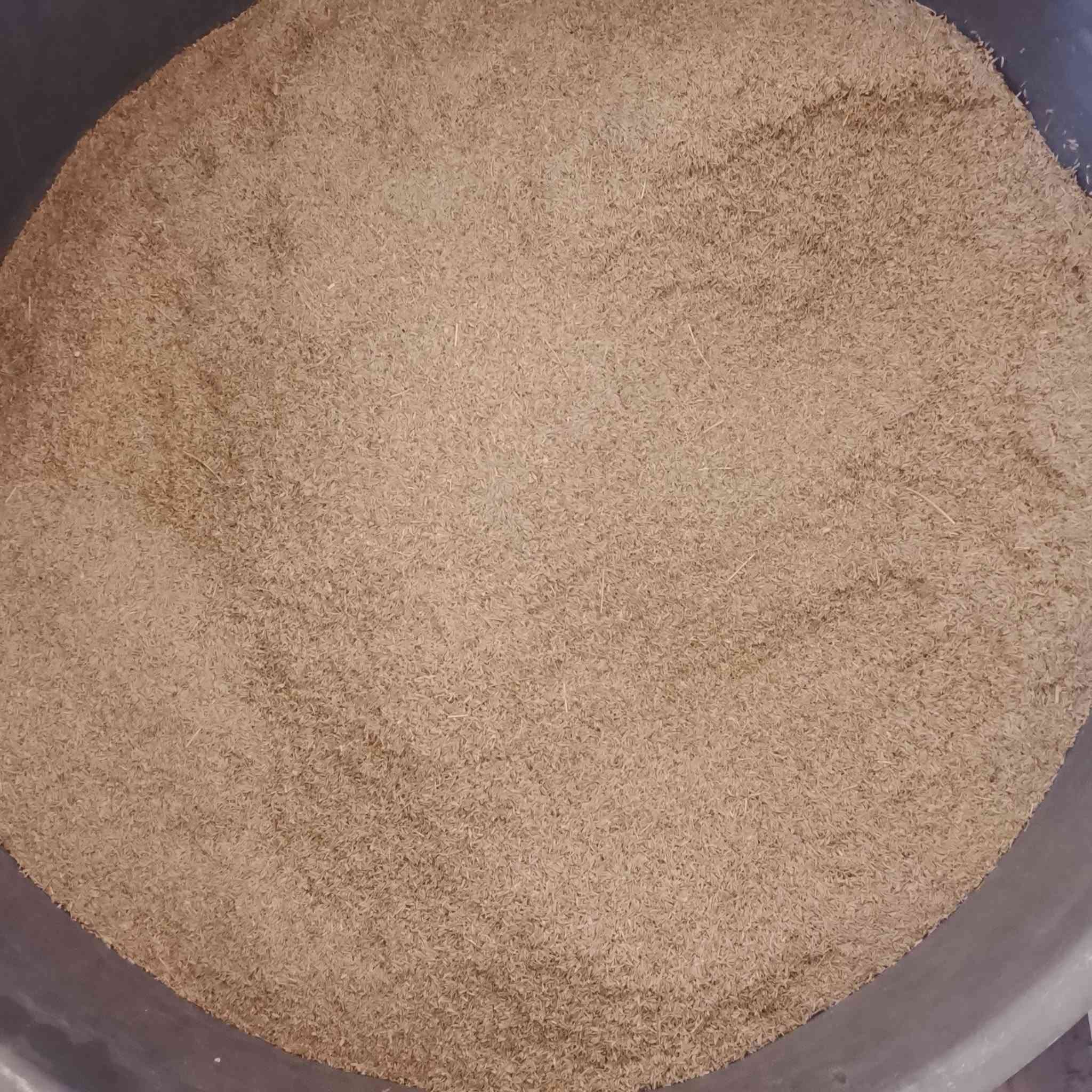 بذور خس للبيع درجه اولى نضيف  مثل ما في الصوره لاستفسار لاتصال على هذه الرقم او المراسله على الواتساب ***********
