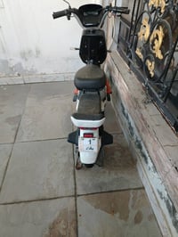 7251