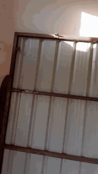 سلام عليكم سقايف بعدهن عند الحداد عدد 3 قياس الوحدة 3 طول العرض2  ***********
