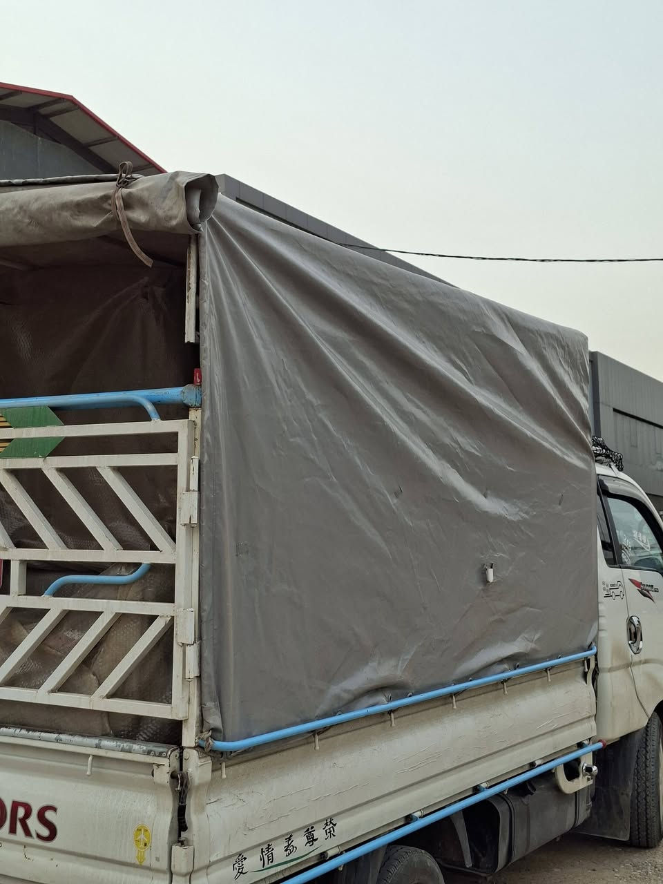 جادر  و  كەپر بۆ فرۆشتن بۆ 3000 بۆ 2700 دەبێت *********** لە هەولێرە
