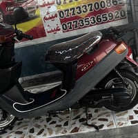 بطة حاوية • جديدة • كفالة