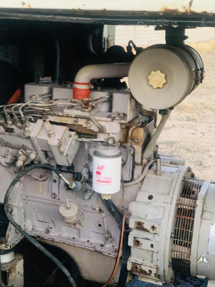 كمنز امريكي سوبر 4 بستم راس التوليد 50 كيفي للبيع 

العنوان بغداد ابو غريب 

 للاستفسار والاتصال ع رقم الهاتف ***********
