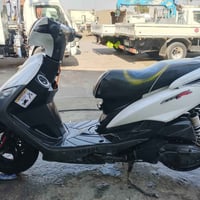 ثعلب • مكفوله • جاهزة فحص